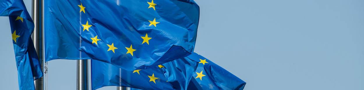 EU-vlaggen in Brussel